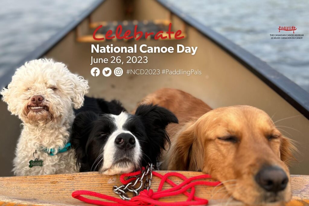 Three dogs smile at the camera and rest their head on the thwart of a canoe. Text overlaid reads "Celebrate National Canoe Day, June 26, 2023 #NCD2023 #PaddlingPals".