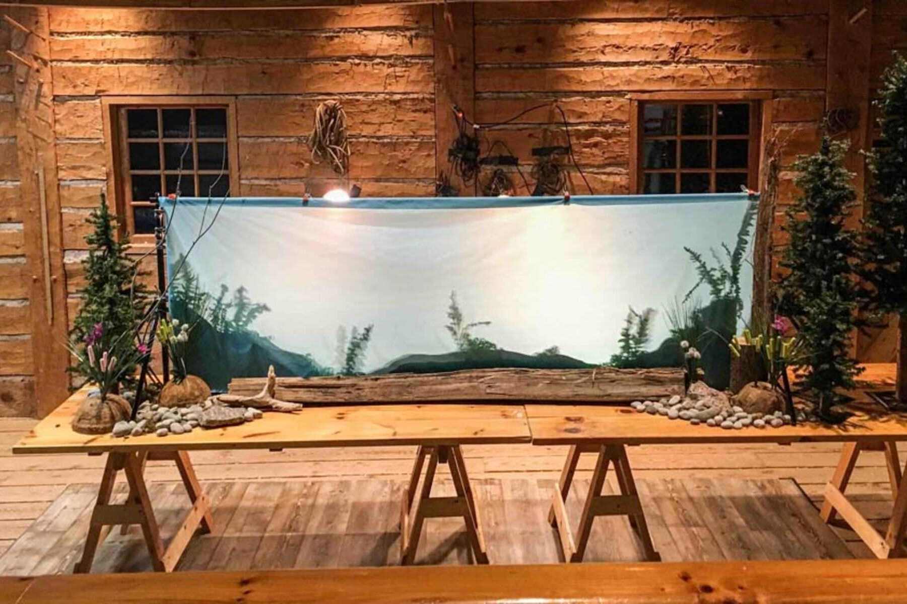 Shadow Puppet Theatre setup on table with scenic backdrop and rocks, wood and artificial trees