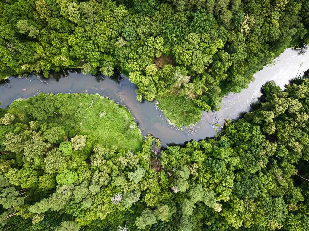 An aerial view of a winding river surrounded by a lush green forest.