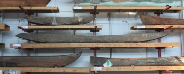 Several dugout canoes in storage stacked on vertical shelves