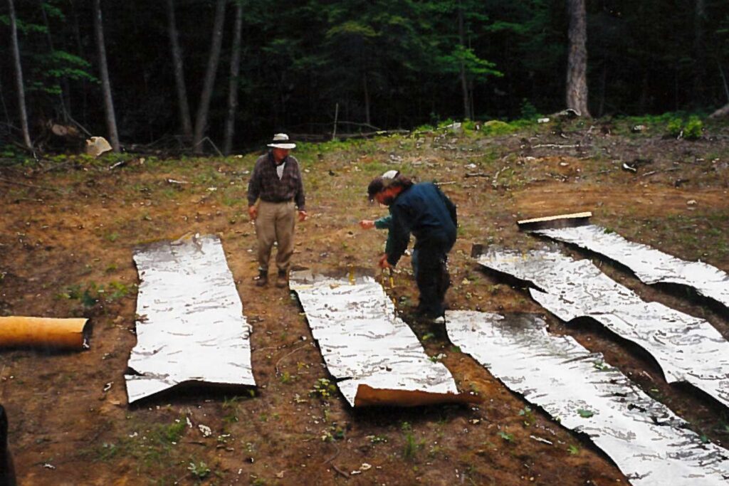 Three people examine a large strip of birch bark laid on the ground outside.