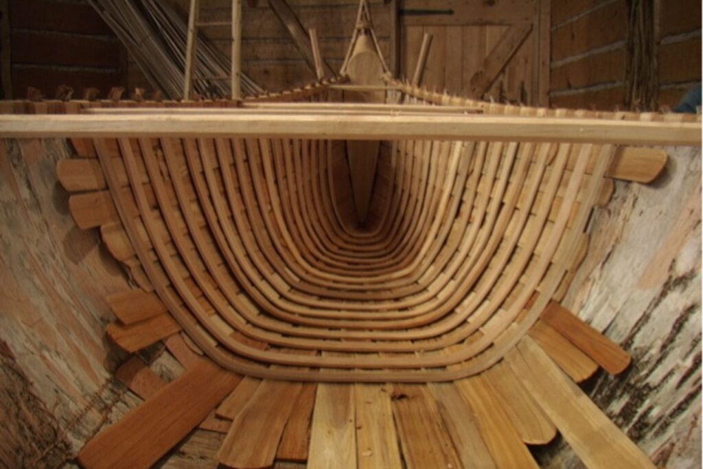 A close-up shot of the ribs of a birch canoe