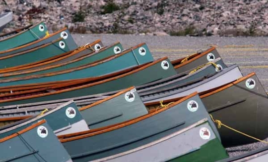 Shot of several green canoes lined up