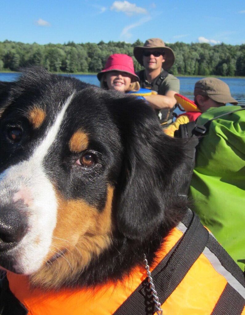 A dog looks into the camera for a photo with people behind, all sitting in a canoe on water.